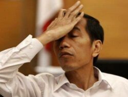 Jokowi Masuk Nominasi Tokoh Dunia Paling Korup 2024 Versi OCCRP